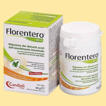 Fermenti lattici e intestino