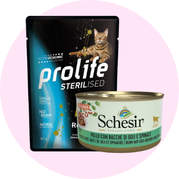 Cibo umido per gatti