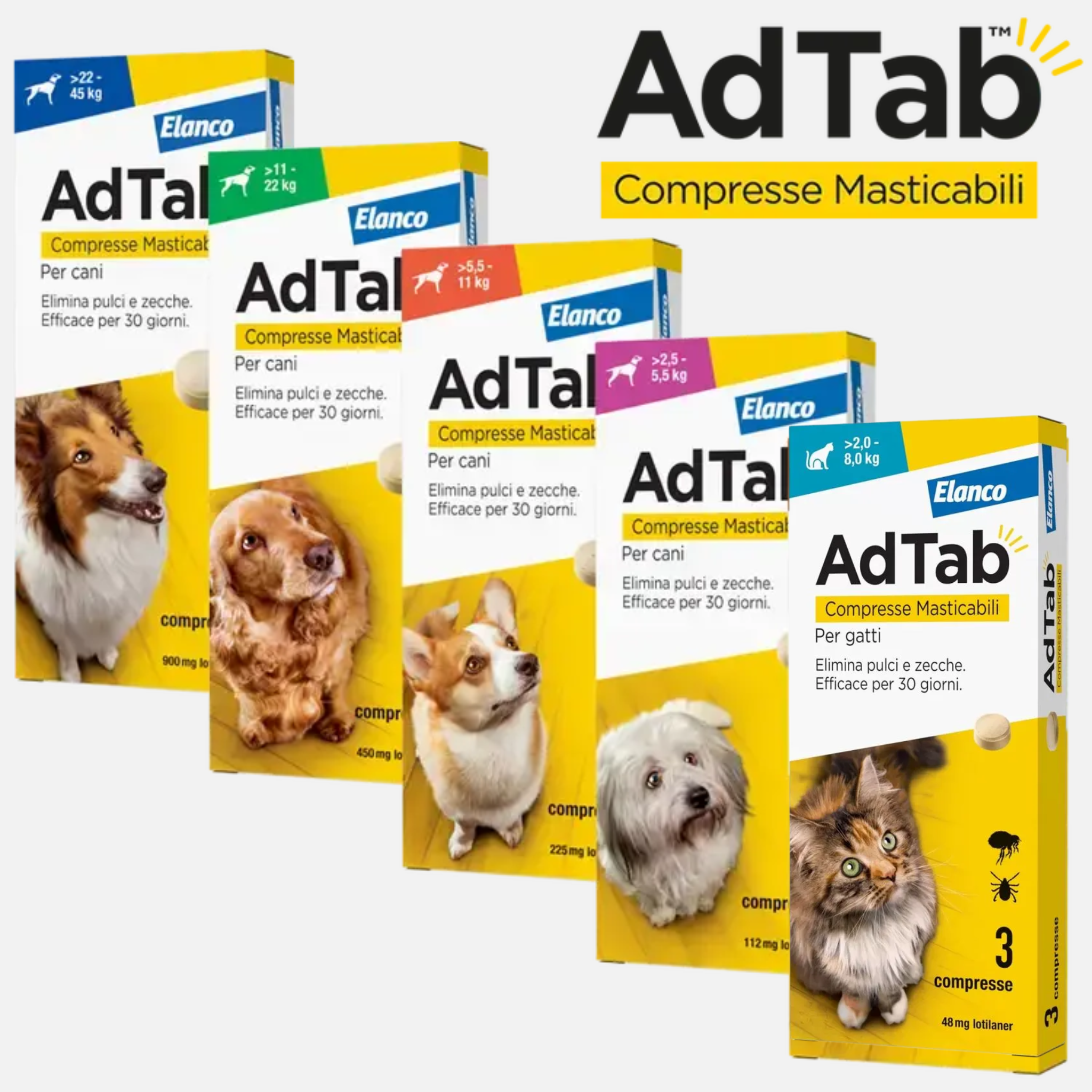 Antiparassitari via orale