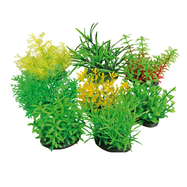 Decorativi Tropical Plan Amtra - 0,07 m