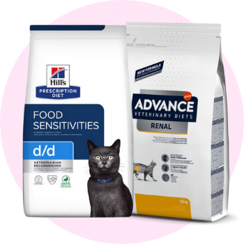 Diete vet cibo secco per gatti