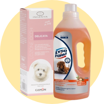 Disinfettanti e detergenti cani