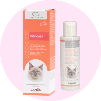 Disinfettanti e detergenti per gatti