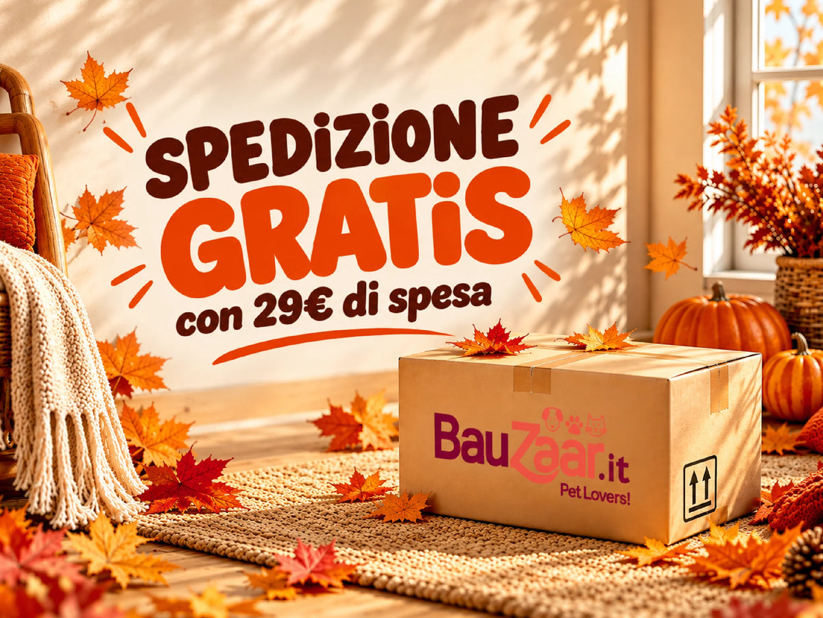 Bauzaar.it