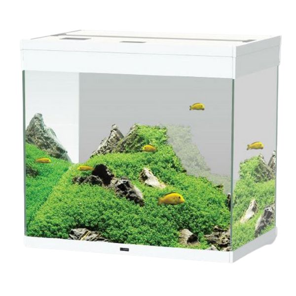 Acquario Ciano Emotions Nature Pro 60 Askoll - bianco - 61,2 x 40,2 x h 56