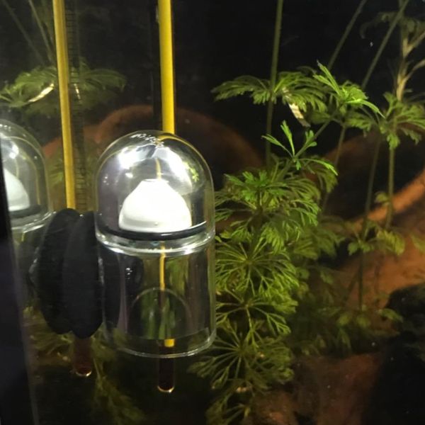 test misurazione di co2 visual control askoll immagine3