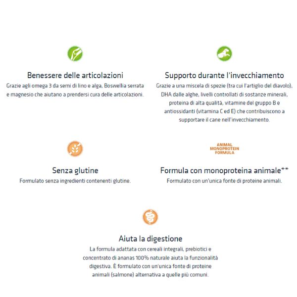 natural trainer sensitive no gluten medium&maxi mature con salmone immagine4