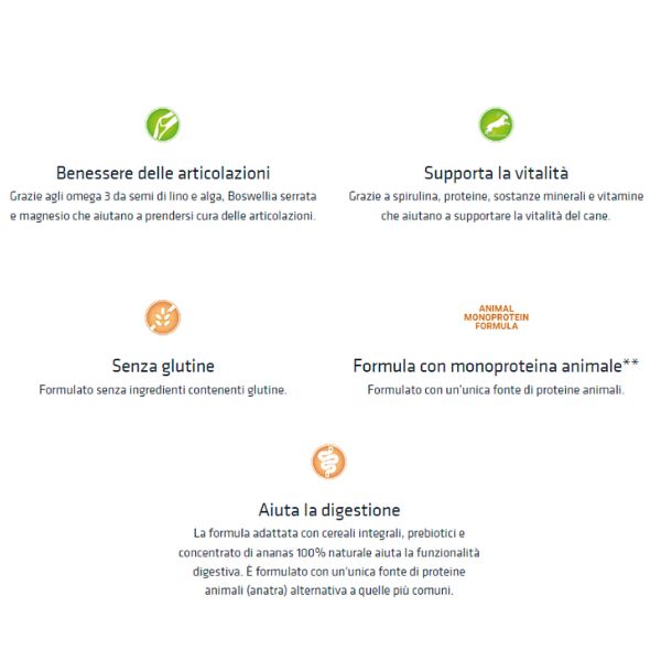natural trainer sensitive no gluten medium/maxi adult con anatra immagine3