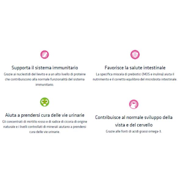 natural trainer kitten con pollo fresco immagine4