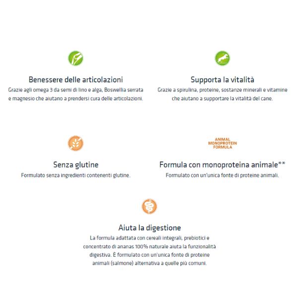 natural trainer sensitive no gluten medium & maxi adult con salmone immagine4