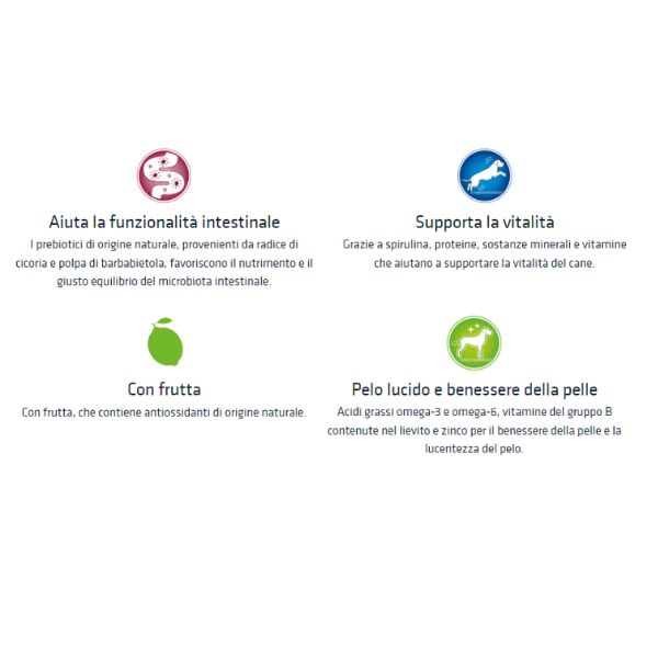 natural trainer medium adult con manzo immagine4