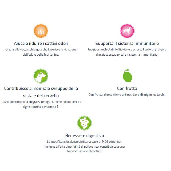 natural trainer puppy e junior mini con pollo fresco immagine4