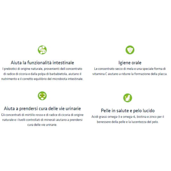 natural trainer adult con pollo fresco immagine4