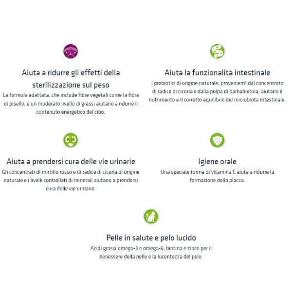 natural trainer adult sterilised con prosciutto crudo immagine4