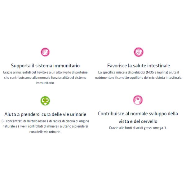 natural trainer kitten con salmone immagine4