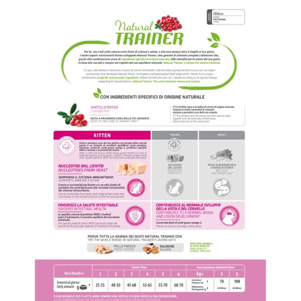natural trainer kitten con salmone immagine3