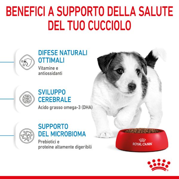 royal canin mini puppy dog food immagine7