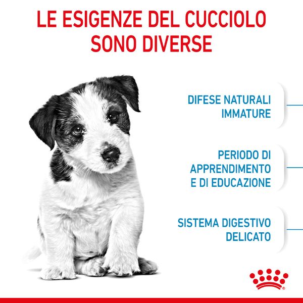 royal canin mini puppy dog food immagine4