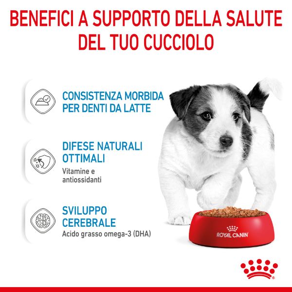 royal canin puppy umido immagine4