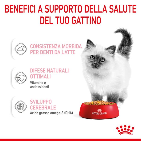 royal canin kitten gravy cat wet food immagine4