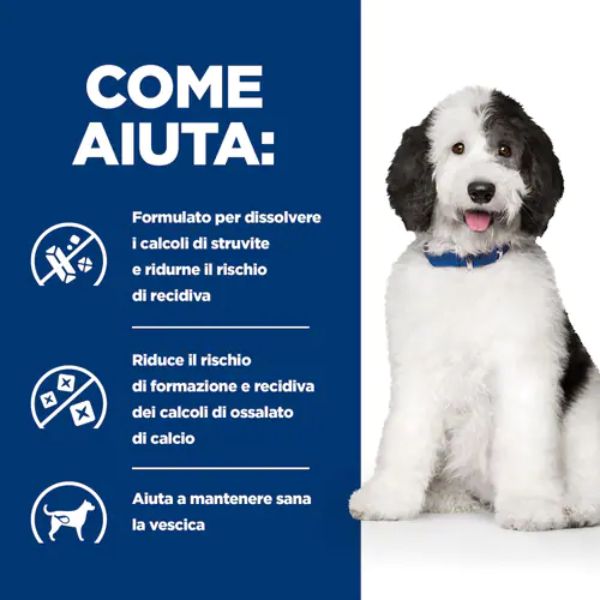 hill's prescription diet multicare c/d canine 370 gr immagine7