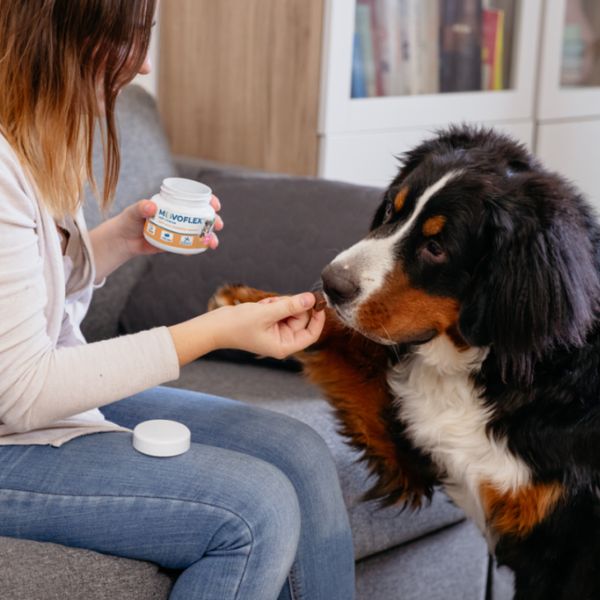 virbac movoflex soft chews integratore per cani immagine4