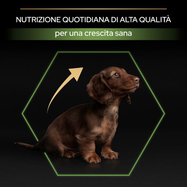 purina pro plan healthy start small e mini puppy crocchette cane pollo immagine8