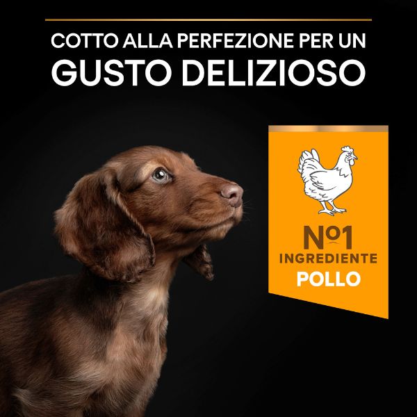 purina pro plan healthy start small e mini puppy crocchette cane pollo immagine9