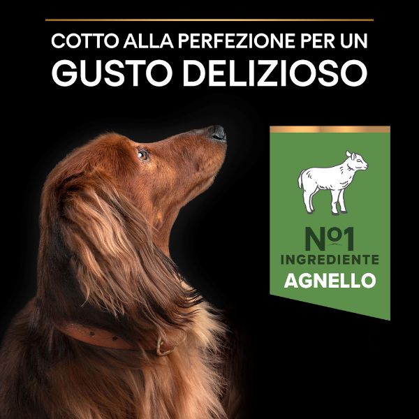 purina pro plan sensitive digestion small e mini adult crocchette cane agnello immagine9