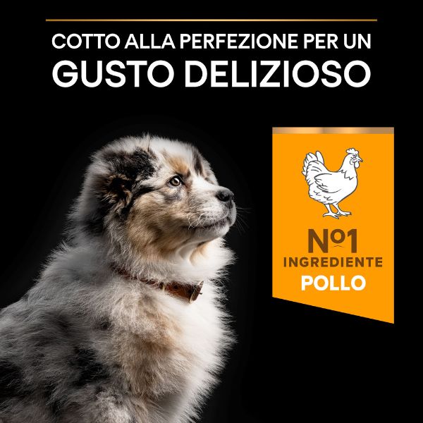purina pro plan healthy start puppy medium crocchette cane pollo immagine9