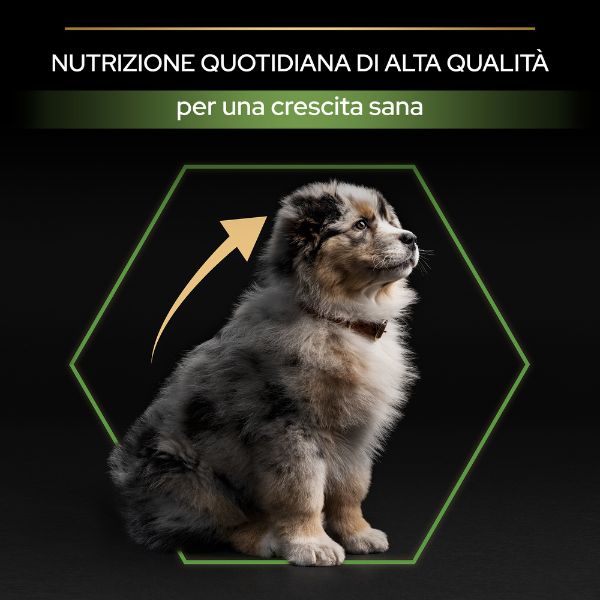 purina pro plan healthy start puppy medium crocchette cane pollo immagine8