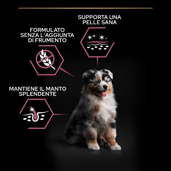 purina pro plan sensitive skin medium puppy crocchette cane salmone immagine8