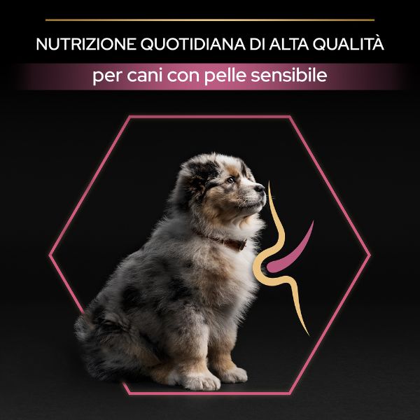 purina pro plan sensitive skin medium puppy crocchette cane salmone immagine7