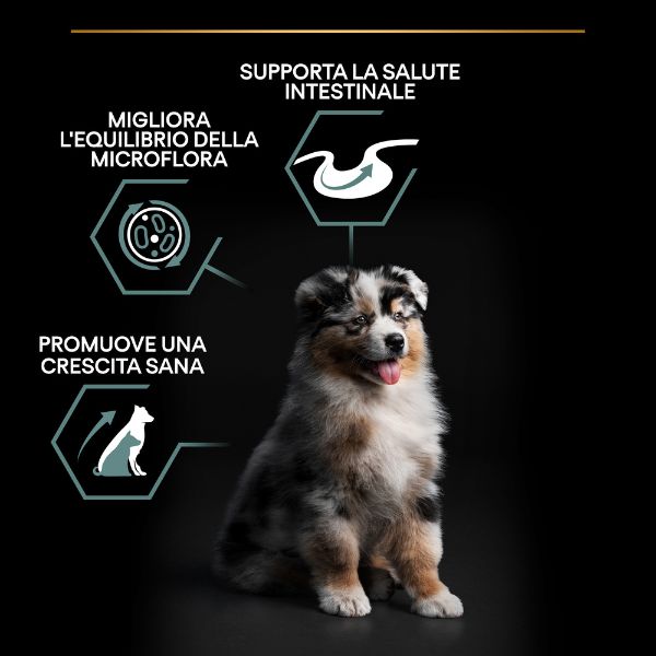 purina pro plan sensitive digestion medium puppy crocchette cane agnello immagine7