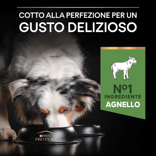purina pro plan sensitive digestion medium adult crocchette cane agnello immagine9