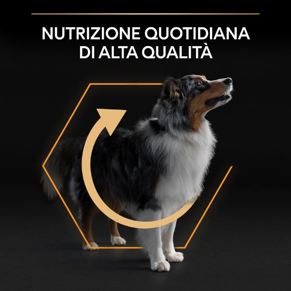 purina pro plan everyday nutrition medium adult crocchette cane pollo immagine6