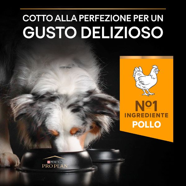 purina pro plan light sterilised all size adult crocchette cane pollo immagine7