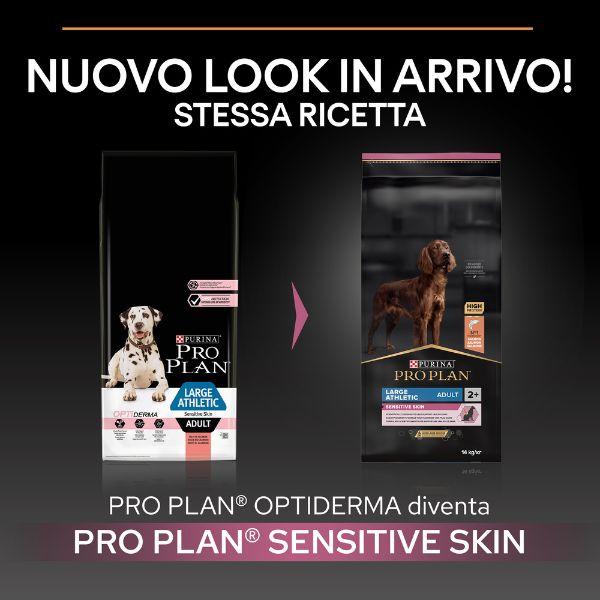 purina pro plan sensitive skin large athletic adult crocchette cane salmone immagine2