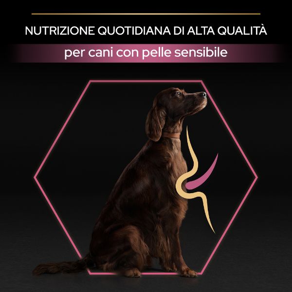 purina pro plan sensitive skin large athletic adult crocchette cane salmone immagine6