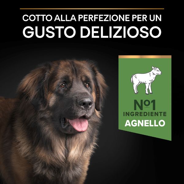 purina pro plan sensitive digestion large robust adult crocchette cane agnello immagine9
