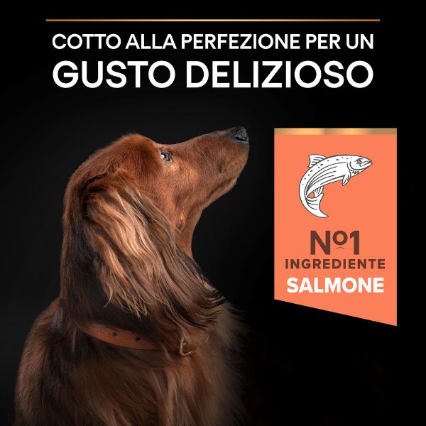 purina pro plan sensitive skin small & mini adult crocchette cane salmone immagine9