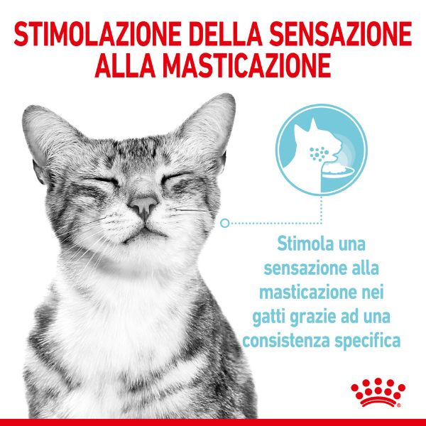 royal canin cat sensory feel 85 gr immagine5