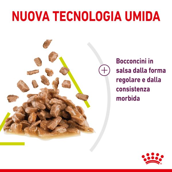 royal canin cat sensory smell 85 gr immagine4