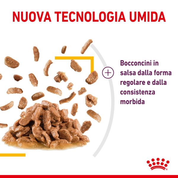 royal canin cat sensory taste 85 gr immagine6