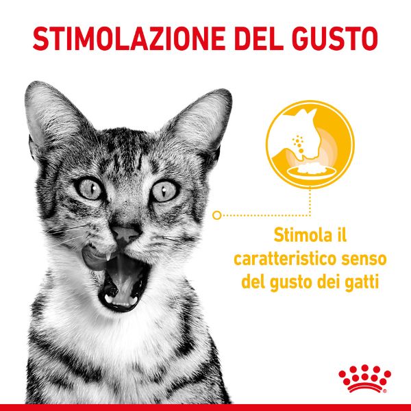 royal canin cat sensory taste 85 gr immagine4