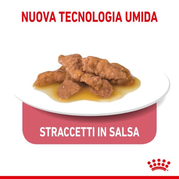 royal canin indoor sterilised 85 gr immagine4