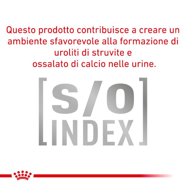 royal canin veterinary diet urinary s/o in salsa immagine5