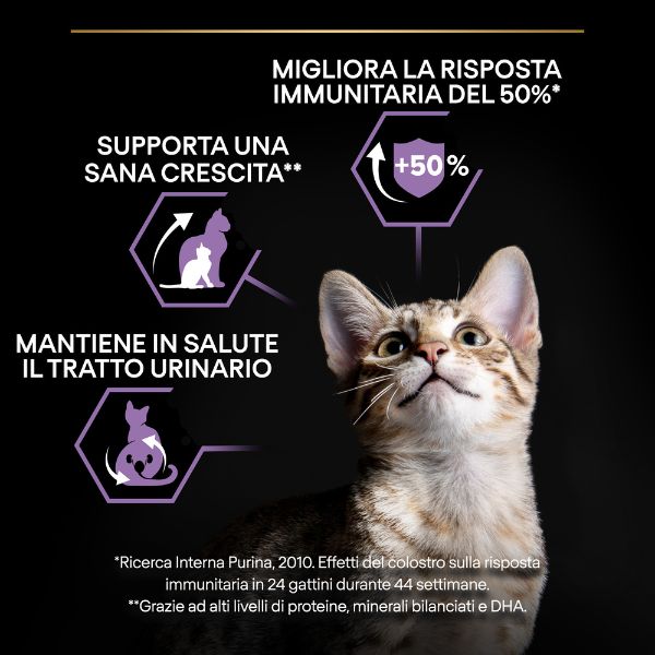 purina pro plan healthy start sterilised kitten con salmone (scadenza: 31/12/2025) immagine3