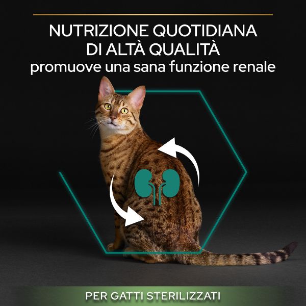 purina pro plan renal plus sterilised adult 1+ con tacchino immagine5
