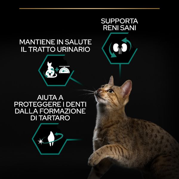 purina pro plan renal plus sterilised adult 1+ con tacchino immagine4